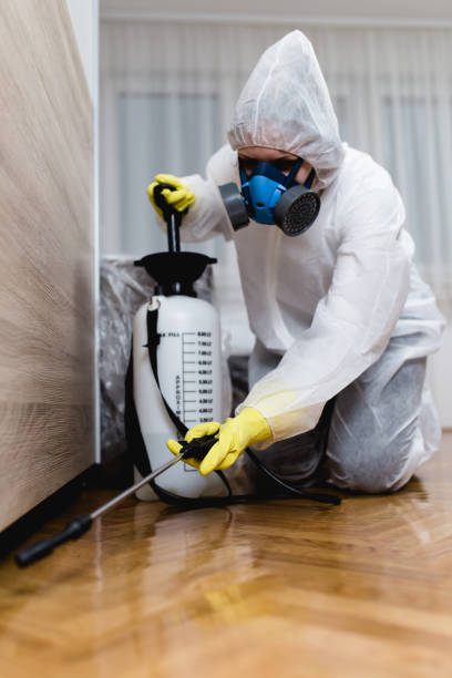 Best Termite Inspection and Treatment  in Barron, WI